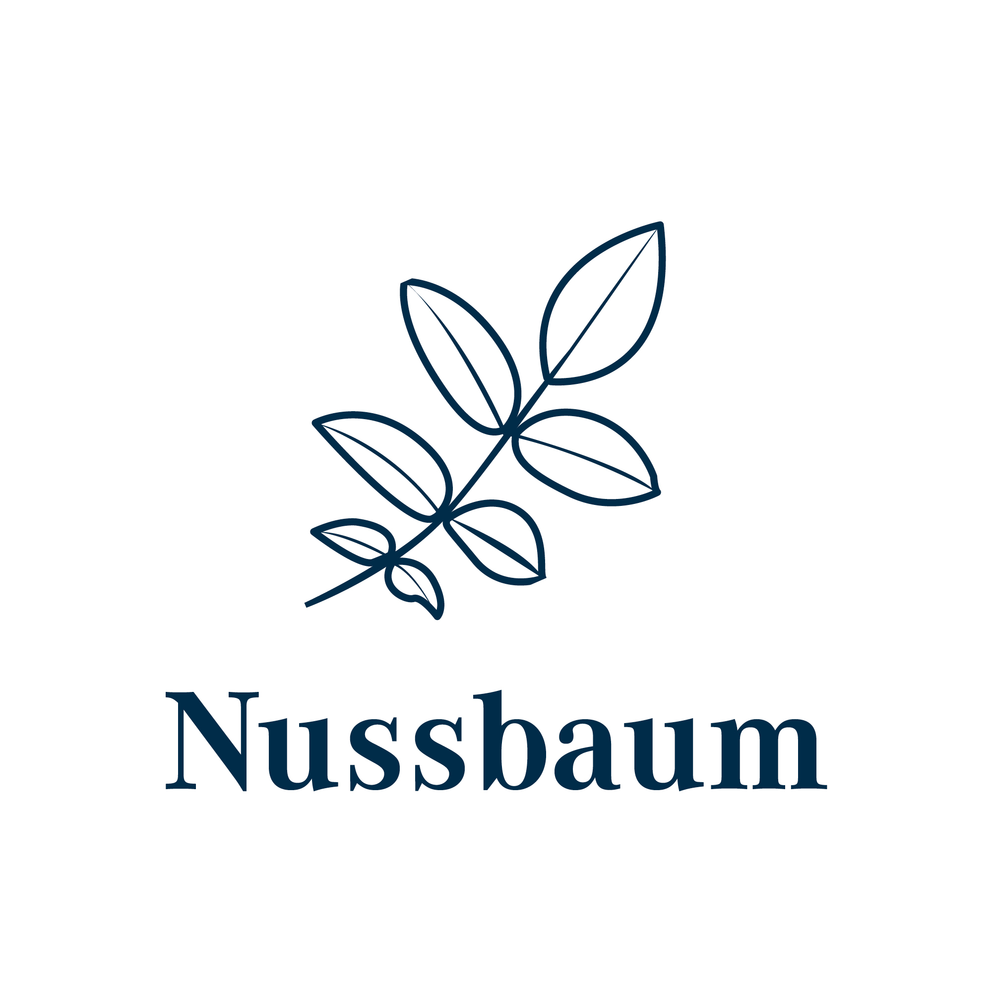 Holzart Nussbaum Blatt des Nussbaums
