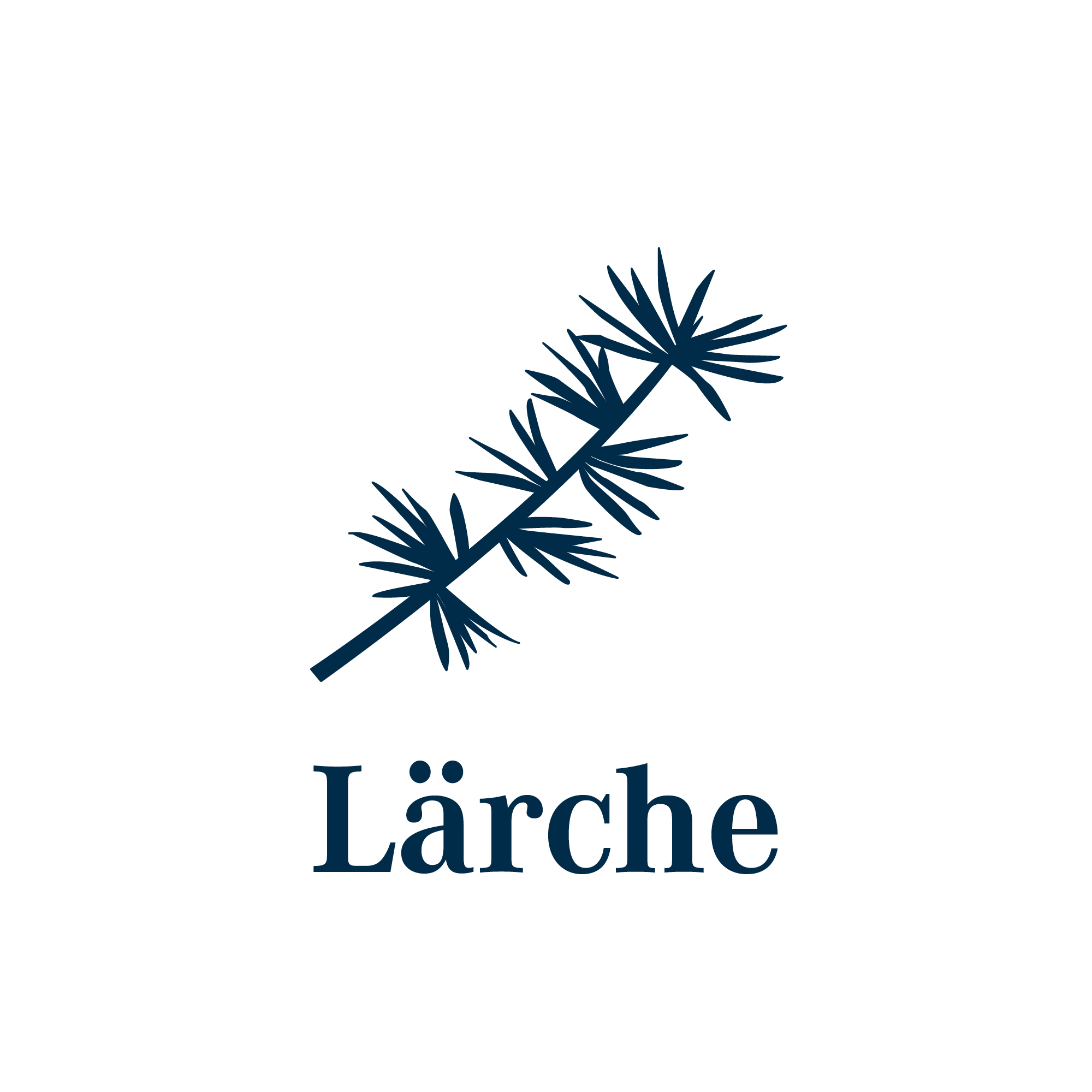 Holzart Lärche Blatt der Lärche