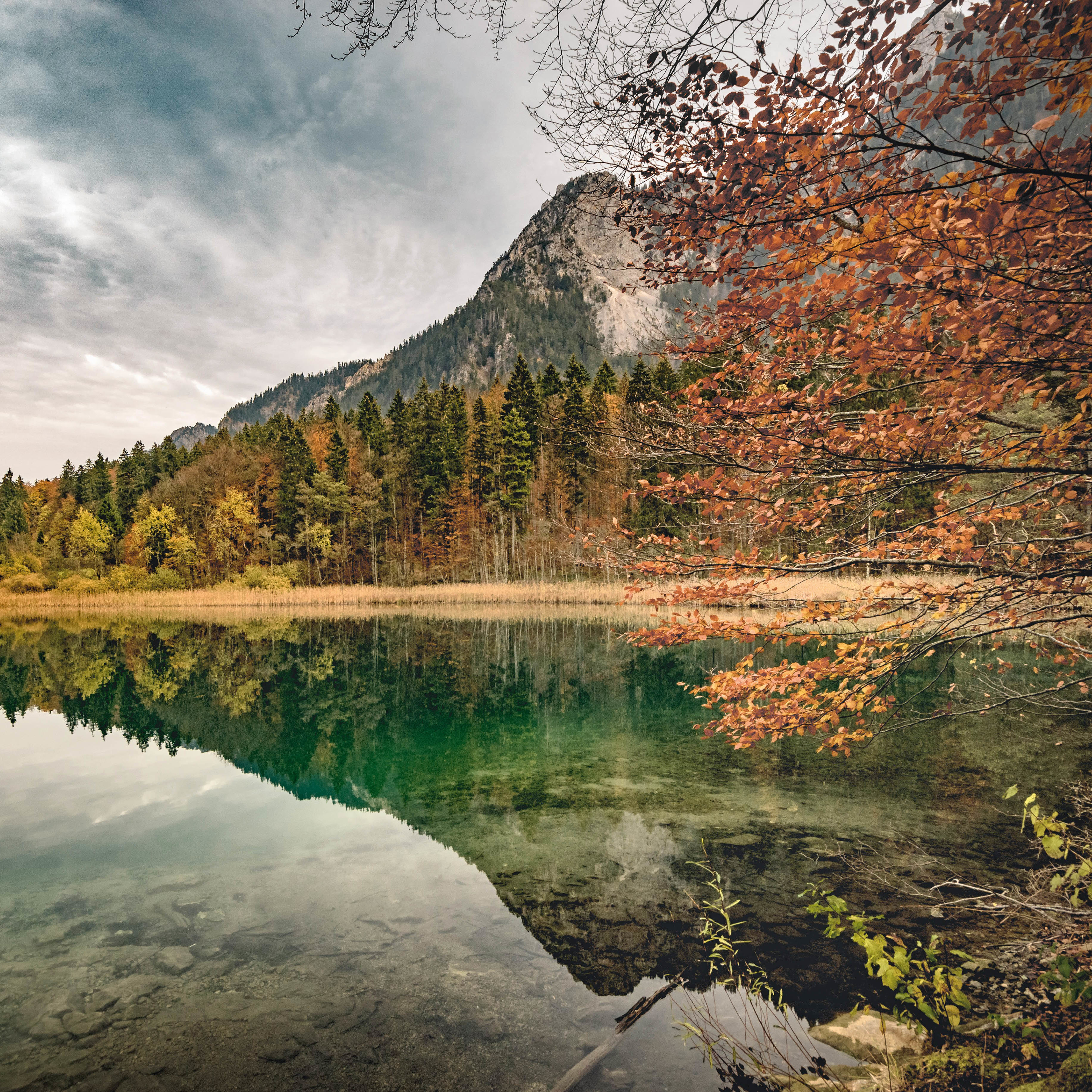 klarer Bergsee mit Wald in Herbstfarben