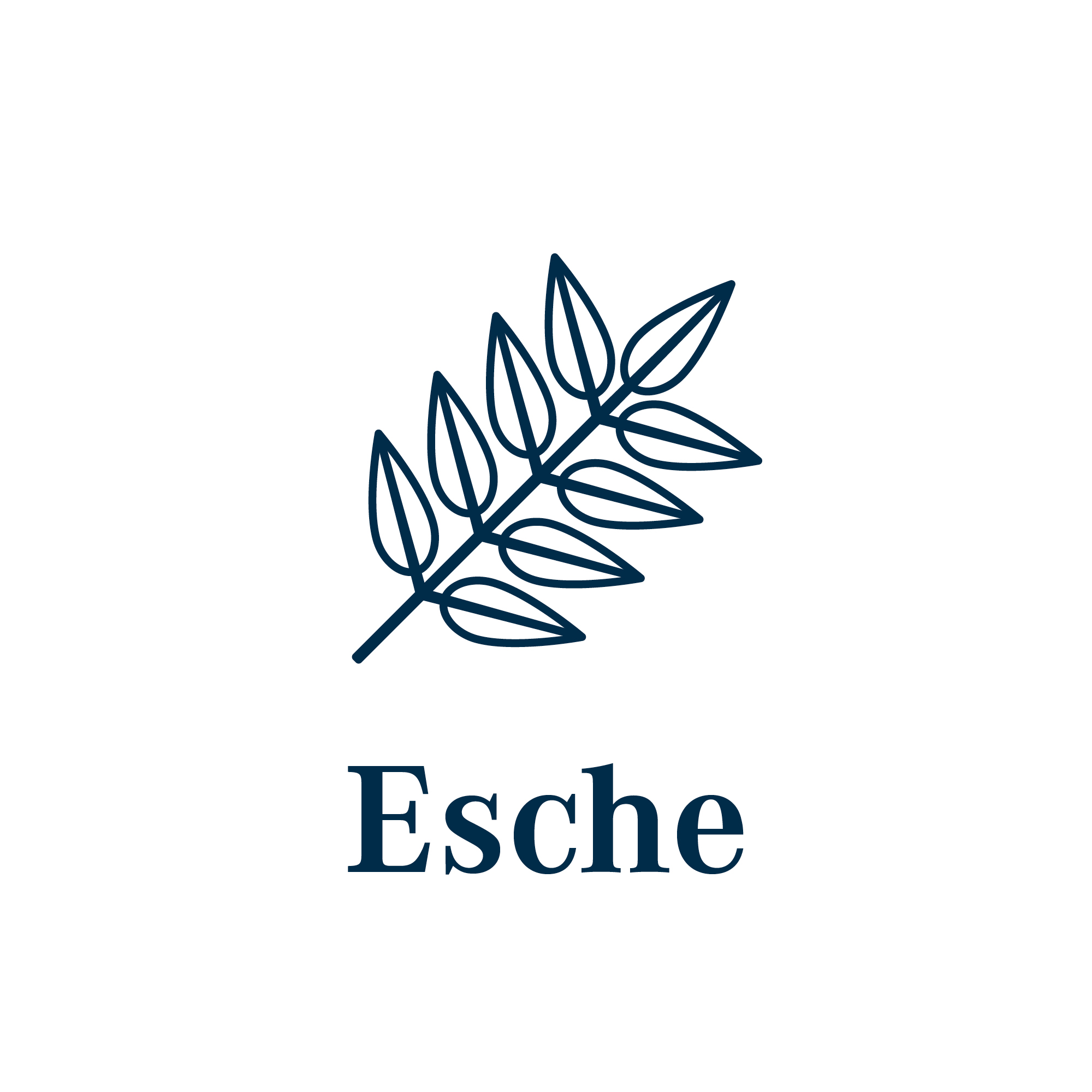 Holzart Esche Blatt der Esche